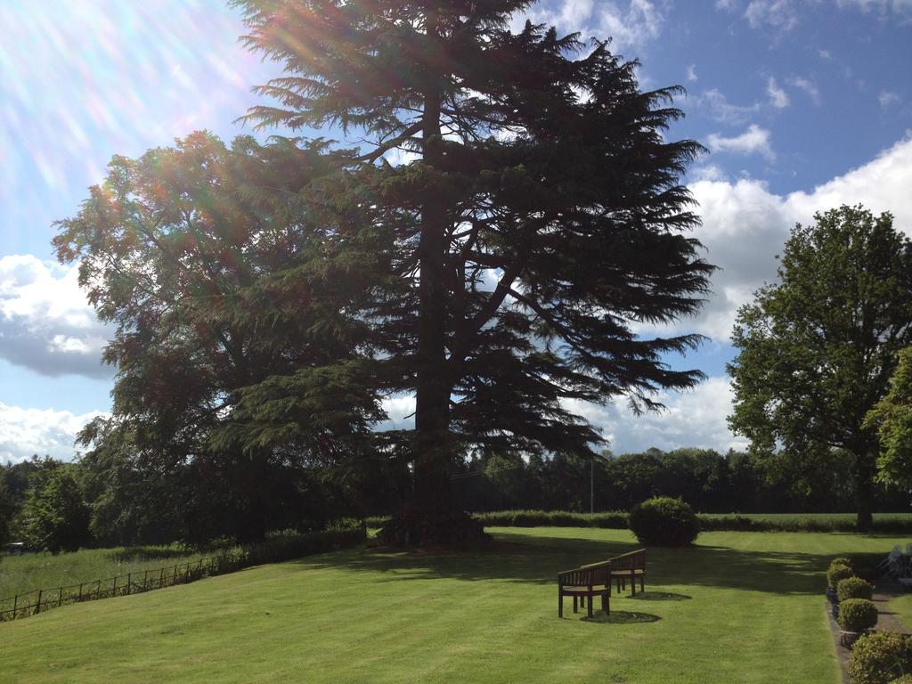 Overton Grange Country Hotel Ludlow Exterior photo